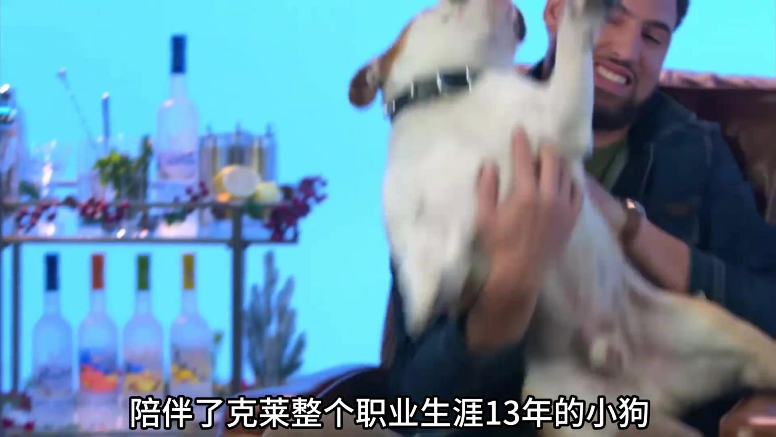 陪伴克萊13年的小狗去世了，不敢相信克萊得多么傷心